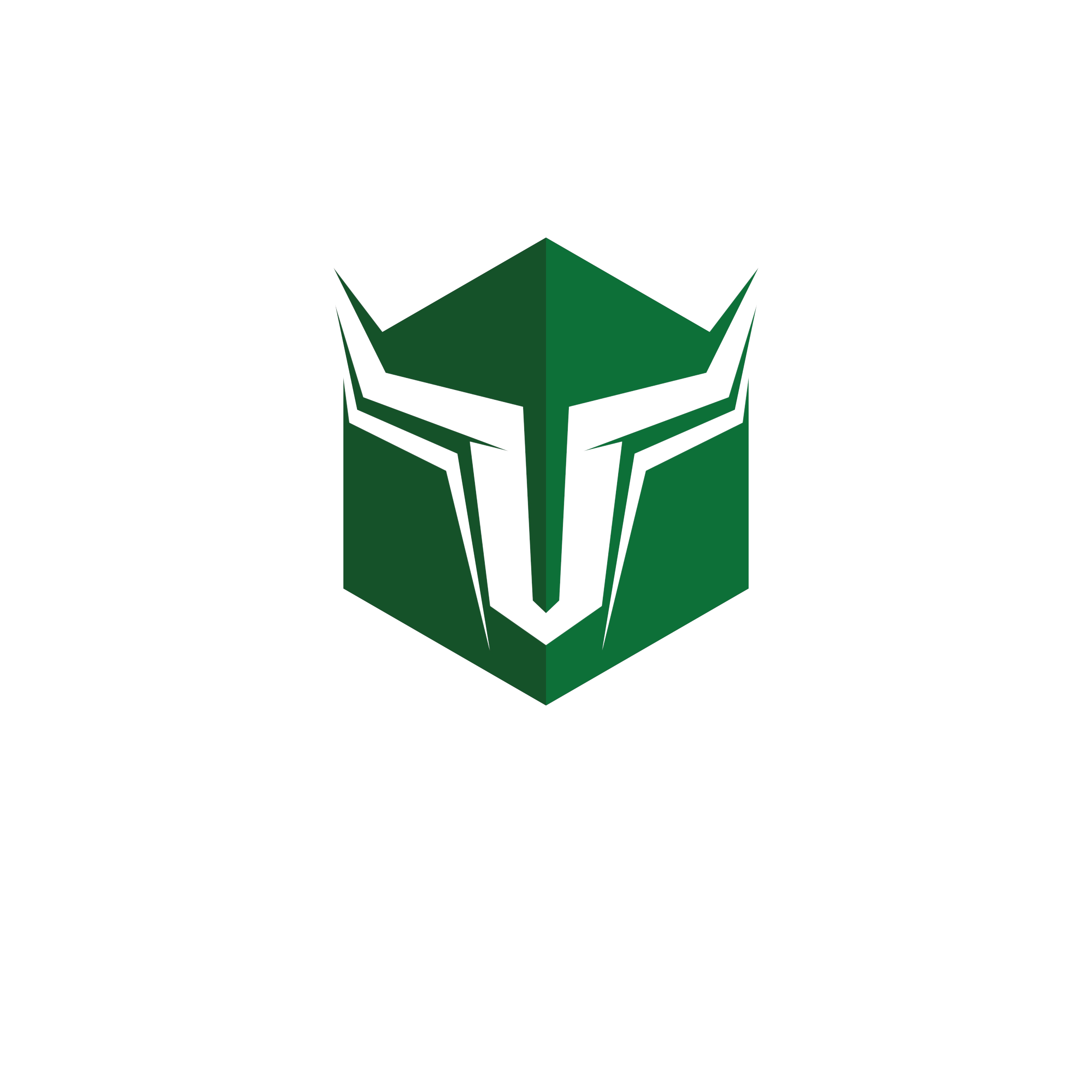 IT TITANS Logo